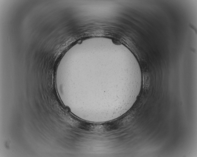 X0000100850301200807111222