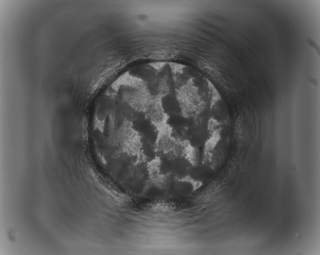 X0000100850303200807111222