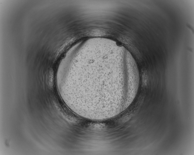 X0000100850304200807111222