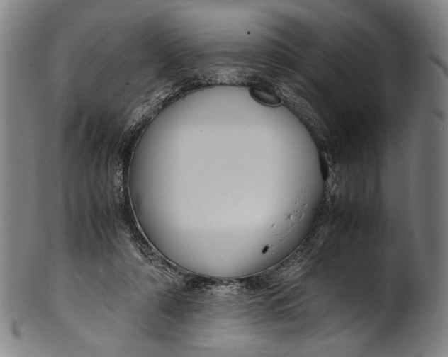 X0000100850306200807111222