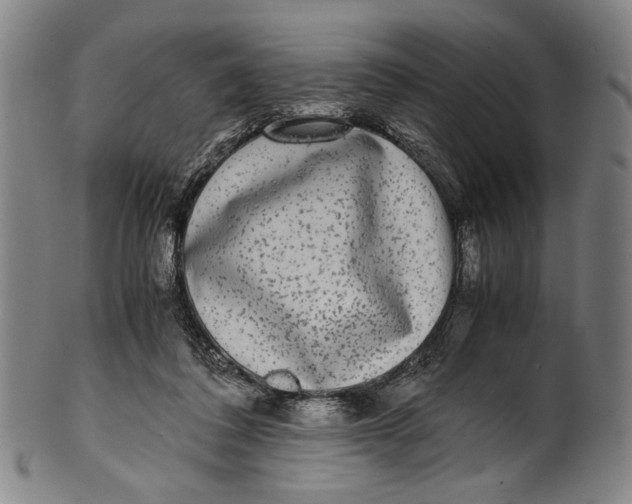 X0000100850308200807111222