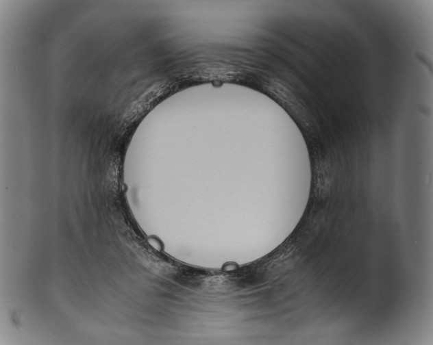 X0000100850309200807111222