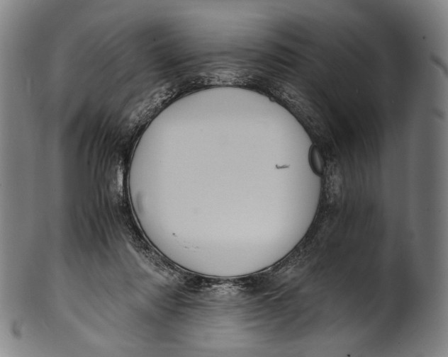 X0000100850310200807111222