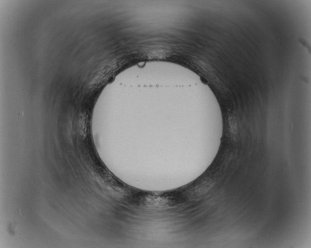 X0000100850311200807111222