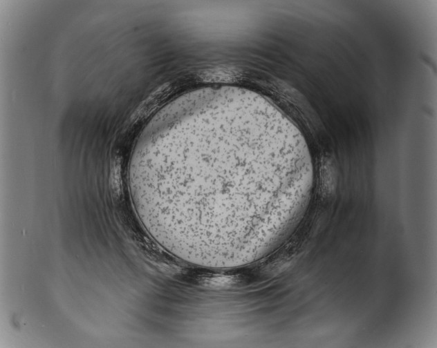 X0000100850312200807111222