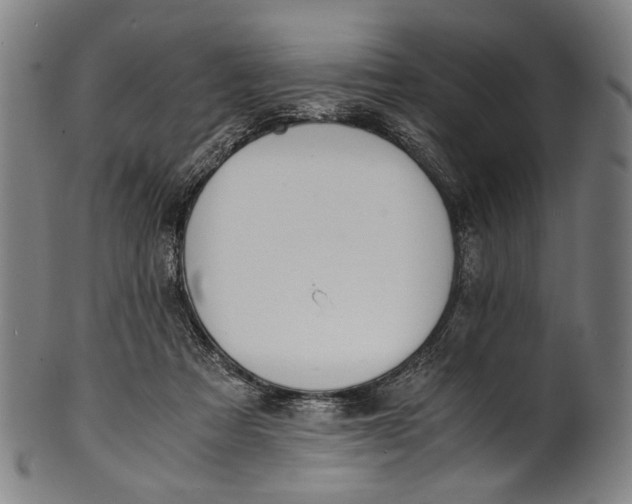 X0000100850313200807111222