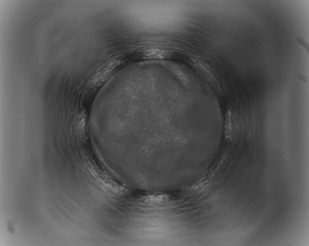 X0000100850314200807111222