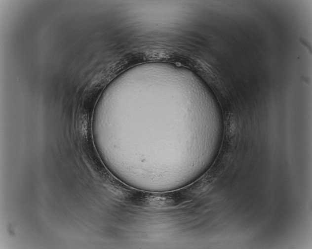 X0000100850315200807111222