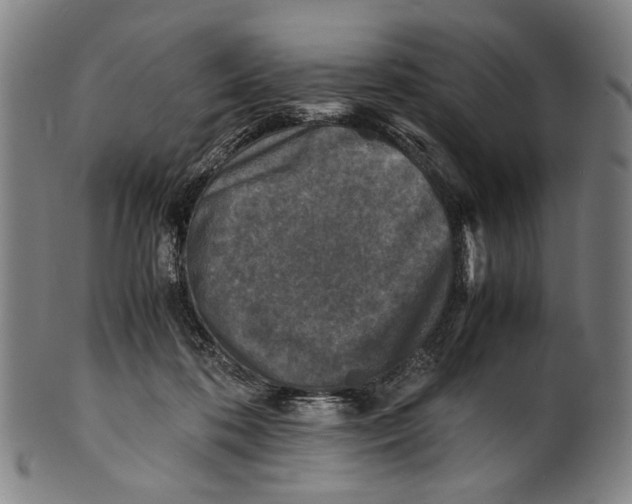 X0000100850316200807111222