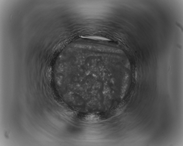 X0000100850319200807111222