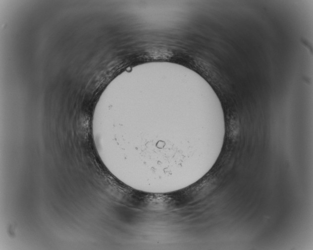 X0000100850321200807111222