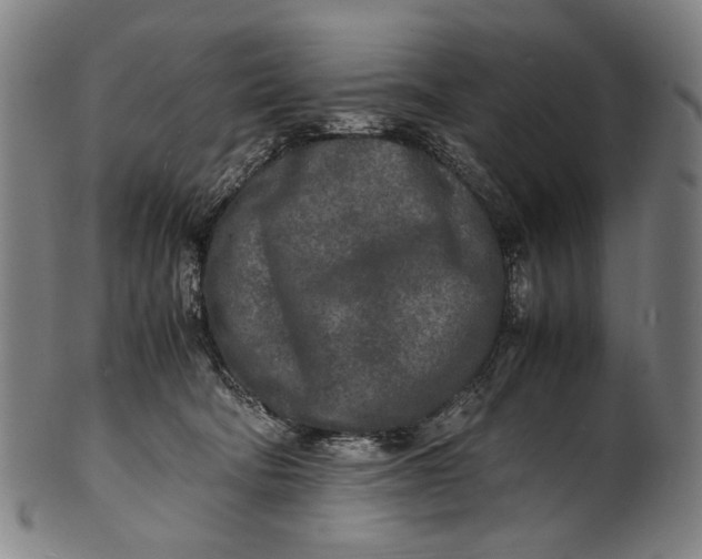 X0000100850322200807111222