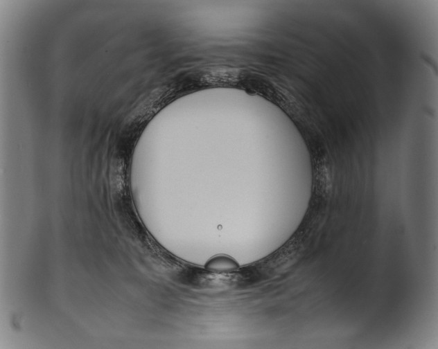 X0000100850323200807111222