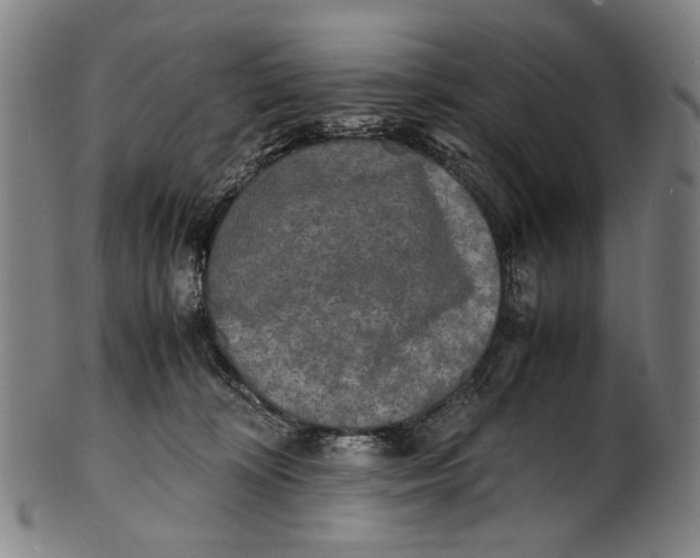 X0000100850324200807111222