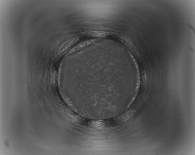 X0000100850325200807111222