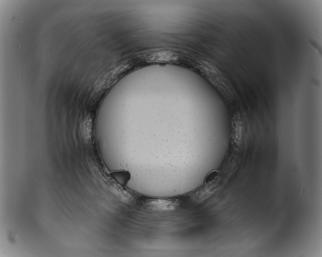 X0000100850326200807111222