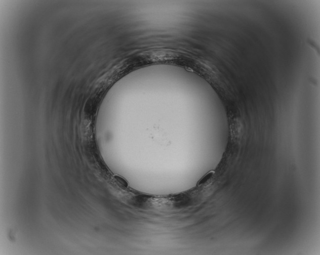 X0000100850327200807111222