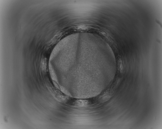 X0000100850328200807111222