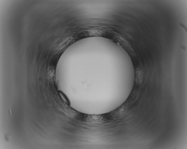 X0000100850329200807111222