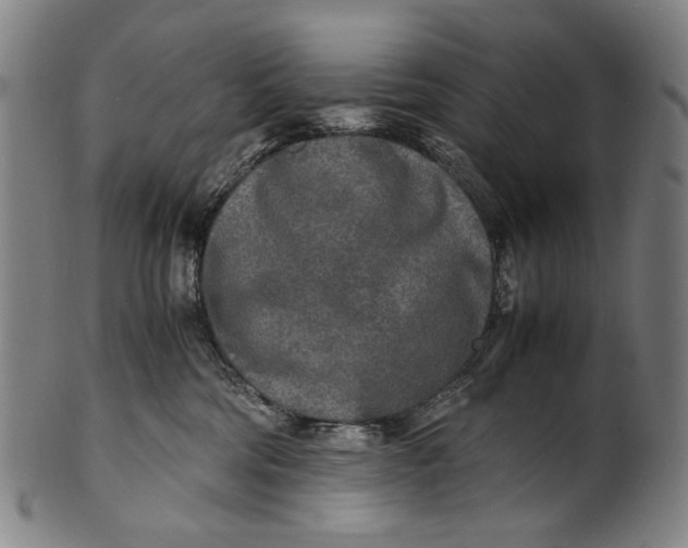 X0000100850330200807111222