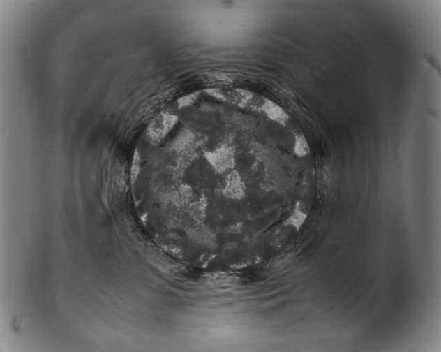 X0000100850331200807111222