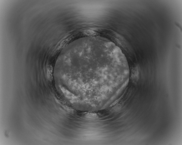 X0000100850332200807111222