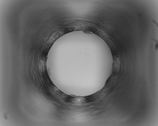 X0000100850333200807111222