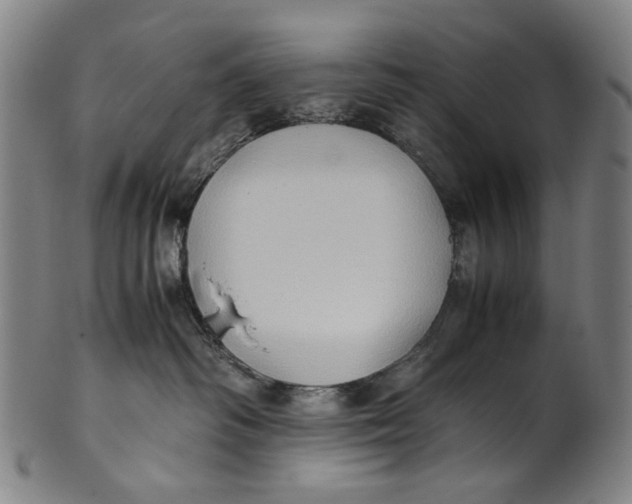 X0000100850334200807111222