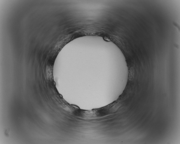 X0000100850335200807111222