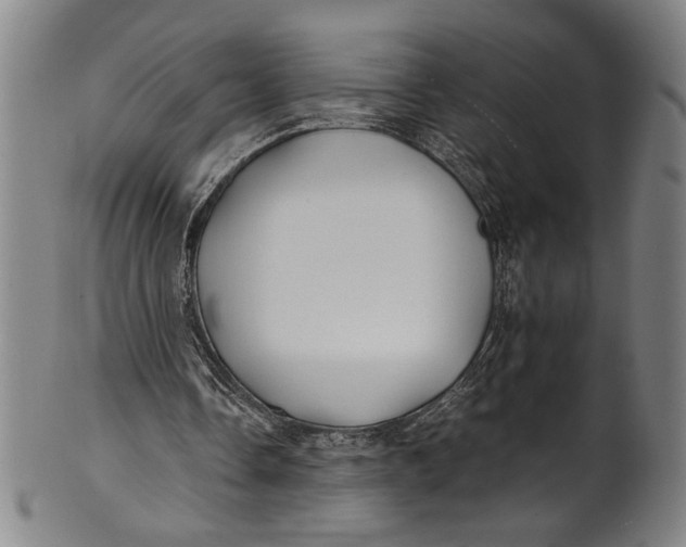 X0000100850338200807111221