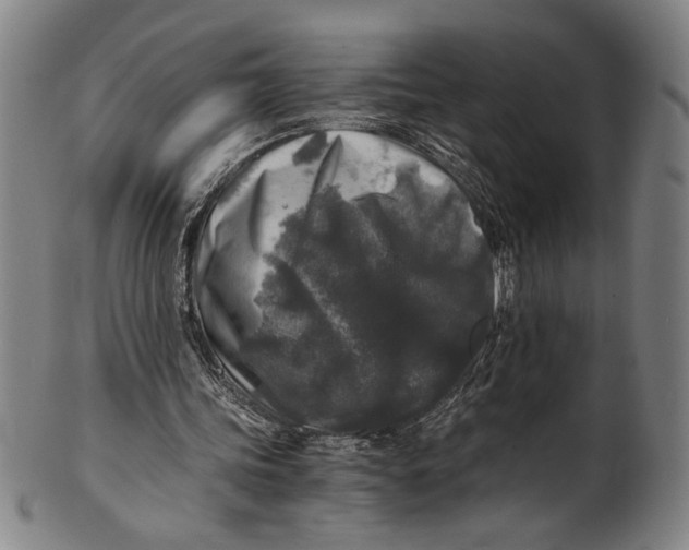 X0000100850339200807111221