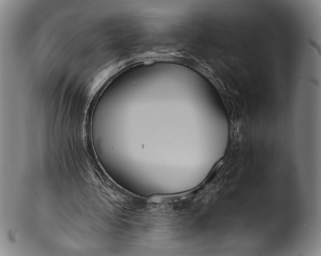 X0000100850340200807111221