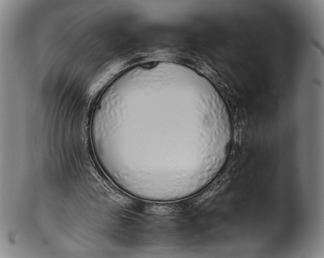 X0000100850341200807111221