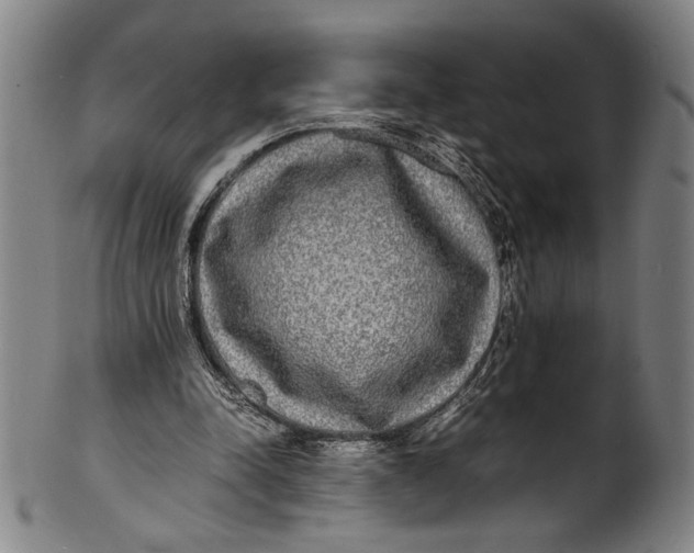 X0000100850342200807111221