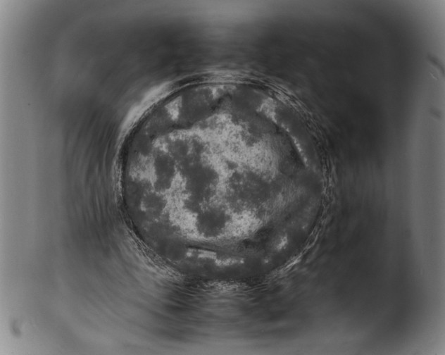 X0000100850343200807111221