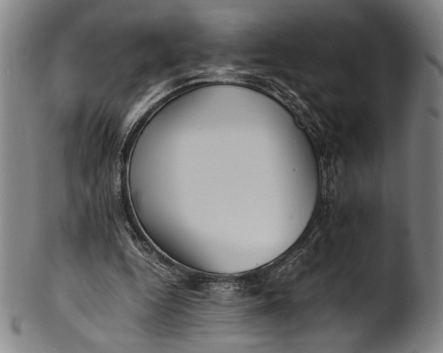 X0000100850344200807111221