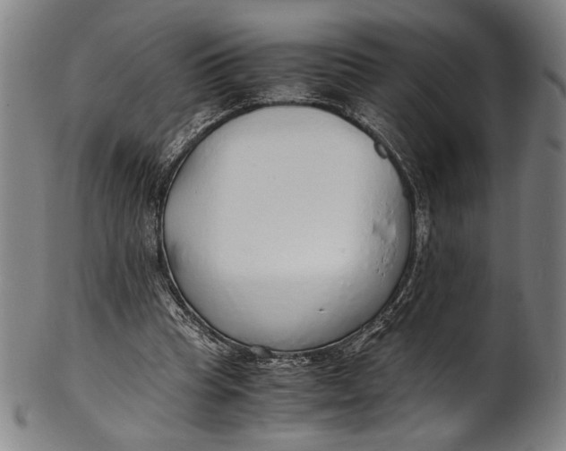 X0000100850345200807111221