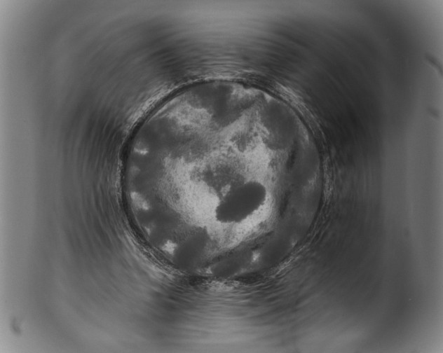 X0000100850346200807111221