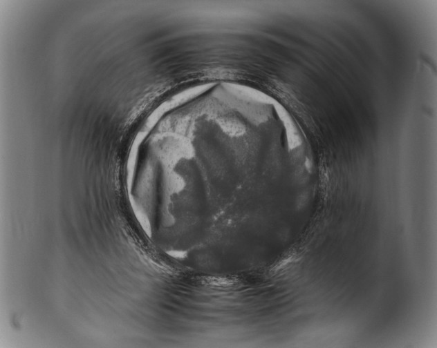 X0000100850347200807111221