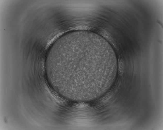 X0000100850348200807111221