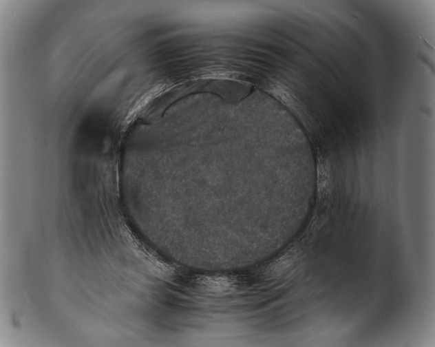 X0000100850349200807111221