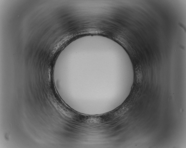 X0000100850350200807111221