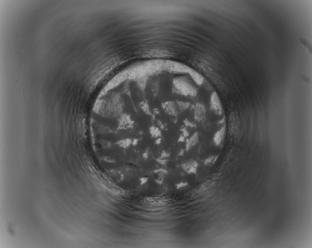 X0000100850351200807111221