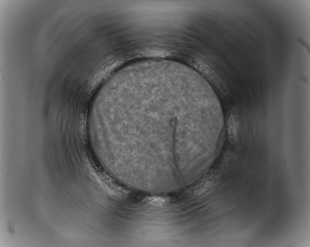 X0000100850352200807111221