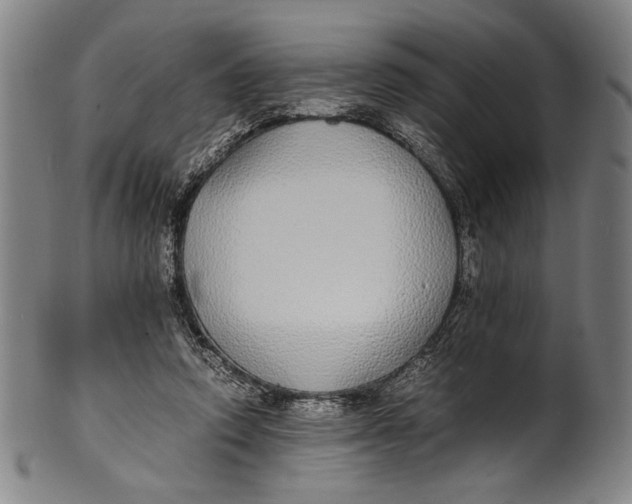 X0000100850354200807111221