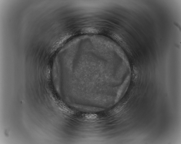 X0000100850355200807111221