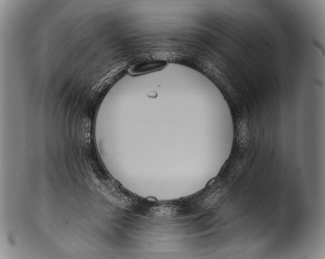 X0000100850356200807111221