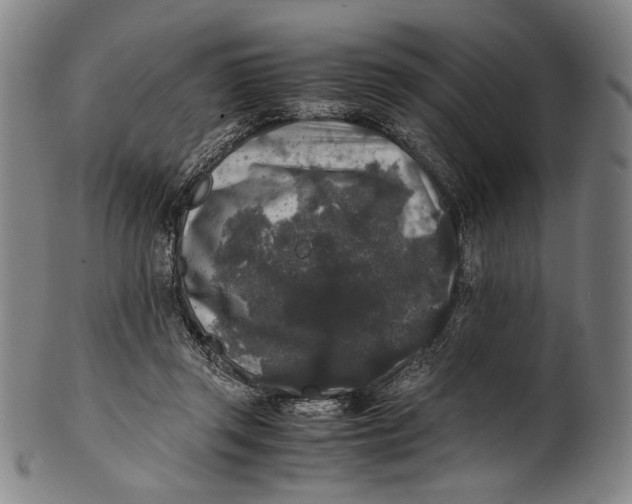 X0000100850357200807111221