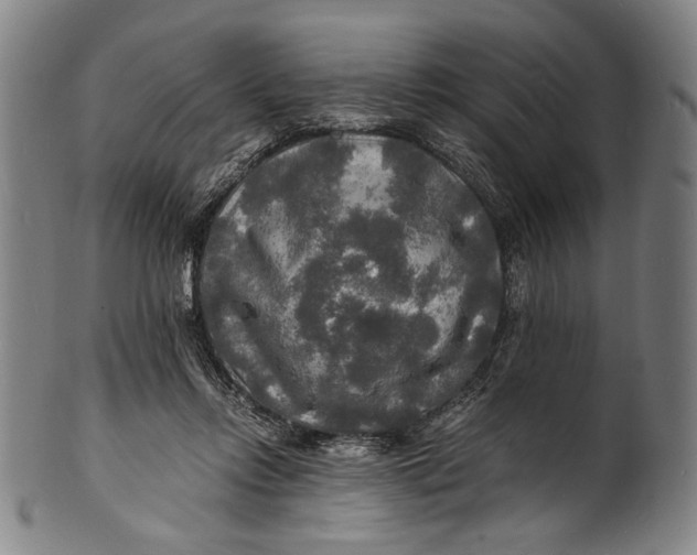 X0000100850358200807111221