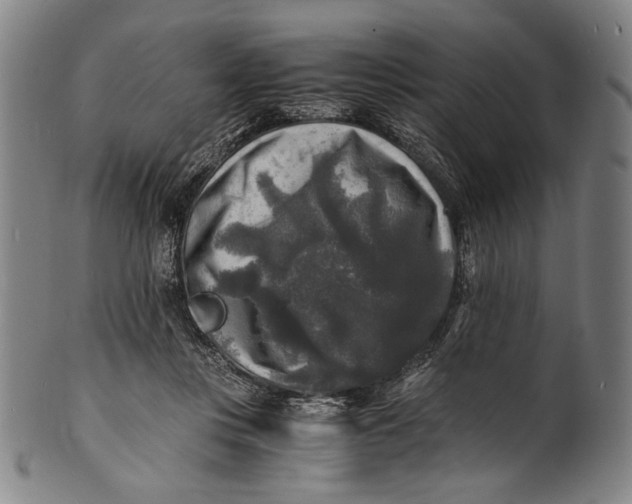 X0000100850359200807111221